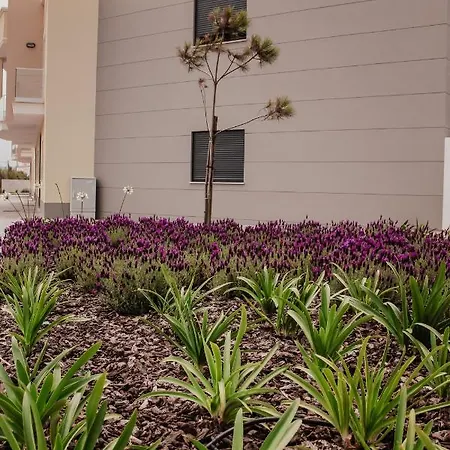 Lejlighed Gold Baleal *