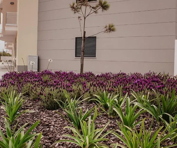 アパート Gold Baleal *